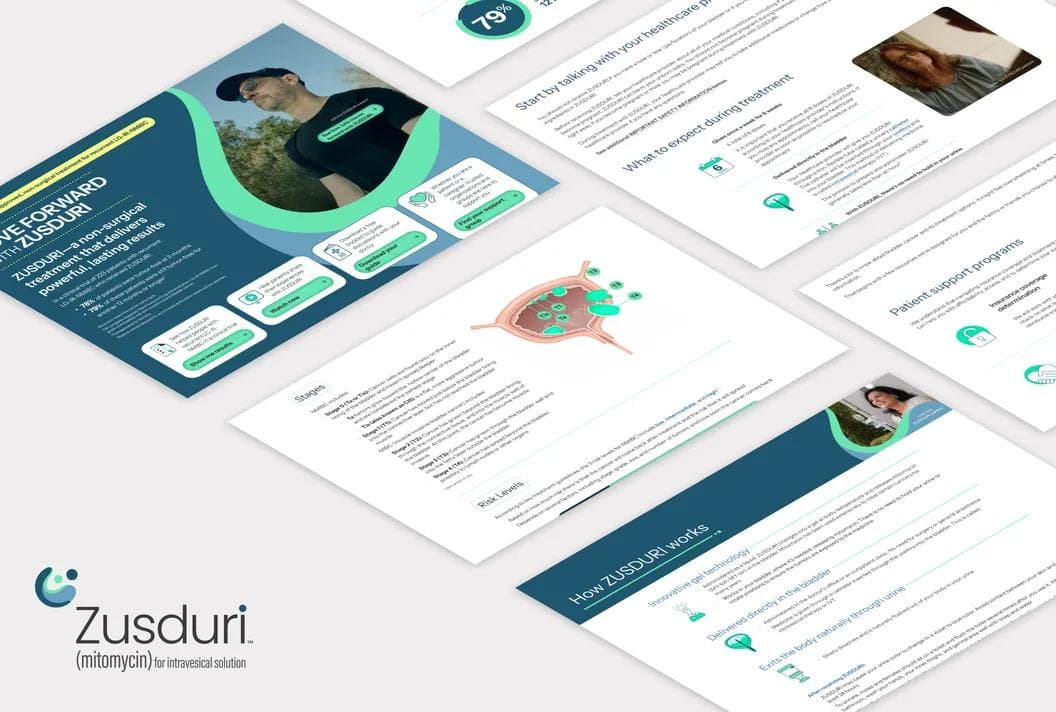 Zusduri project showcase